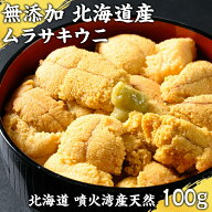 塩水 ムラサキウニ 北海道 生ウニ 100g 新鮮 送料無料 ギフト 30代 40代 50代 男性 女性 高級ギフト 健康…
