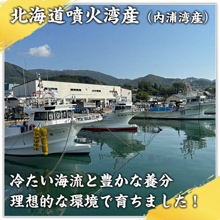 楽天市場】【北海道 噴火湾産】 タラバガニ 4kg 前後 鮮度抜群 国産 