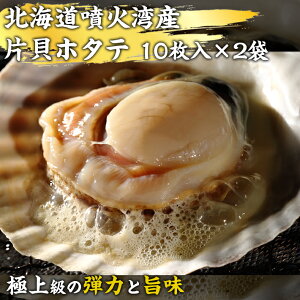 ЊLz^e 10×2 E  ق VN Ⓚ  Mtg 30 40 50 j  Mtg Nu wV[ ̓ ̓ VN Nx Ε  