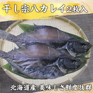  @ JC 2 VN  Mtg 30 40 50 j  Mtg Nu wV[ ̓ ̓ VN Nx Ε  