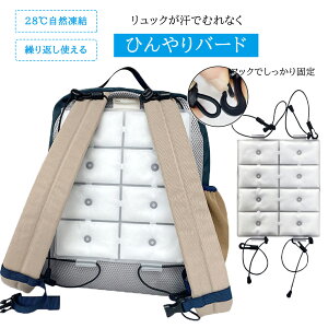yN[|10OFF10/5zbNp⊴pbh N[bN PCMR hZppbh ď ACXV[g N[pbh ΍ pXv[ wЂ MǑ΍ p