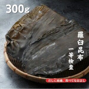 {B Pz ꓙ  300g e z z Ru  Y z o`  Ε  ̓ ̓ j  v[g [ Mtg  ϕ kC 