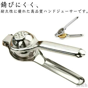 i t[ci 蓮 nhW[T[ XeX 傫TCY i