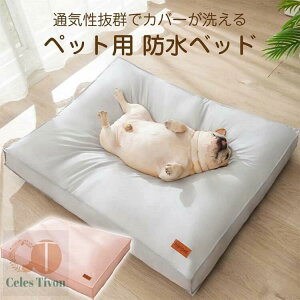 ybgxbh 􂦂 h NbV 傫 45×30×8cm 55×40×9cm 65×50×10cm 80×60×11cm \ ybg xbh ӂӂ Ck lR  L 