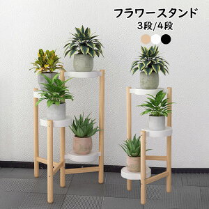 t[X^h  RpNg 3i 4i ԑ  K[fjObN X^h Aؔ gCt /x_/ t[bN rO[/O K[fjOI 