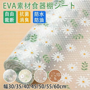 HIV[g Lb`V[g~}bg 􂦂①ɃV[g L Lb`o}bgڒܕsv ْf\ R-hH Ȃ 肵f vg VFt