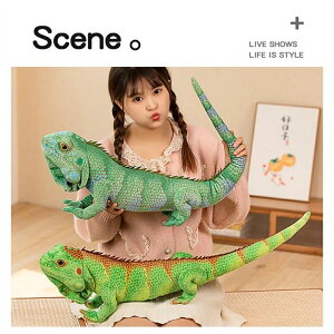 ʂ gJQ Ƃ A ӂӂ ঒  u  낢 q  CeA 