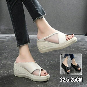 Xbp fB[X  T_  ~[[V[Y L ʋCz ؍t@bV T_ fB[X Ȃ O Xbp z[Xbp  K 