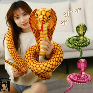  ւ ʂ LORu  AȎ  NbV u _炩 hbL rbN  G | ঒  Aj} ҏb i 