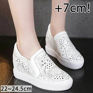 y[obOtz Xj[J[ 7cm gup Xb| fB[X Cq[Xj[J[ {v  EFbW\[ EH[LO q[Abv C V[Y y V[Y p[eB