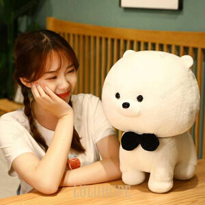 ʂ  킢   CeA av[g 40cm ʑ^炵 40cm TCY₷ ӂӂfގG_炩 CeA ʖ aM