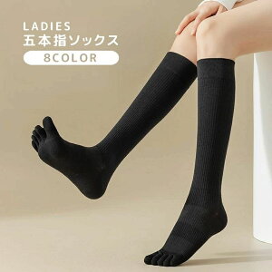  ܖ{w\bNX nC\bNX fB[X  wl C 5{w  \bNX JWA n PF Vv ig fC[