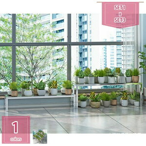 t[X^h v^[X^h 3_Zbg K[fjO AؔX^h ԑ  |bN u K[fbN v^[bN ϗtA X^h AؔbN ~