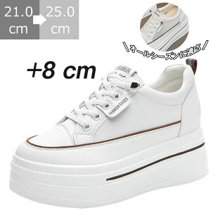 Xj[J[ C 8cm 6cmq[ gAbv fB[X y y bV [Jbg Cq[ EH[LOV[Y tbg  RtH[g ɂ ʋC ₷ 