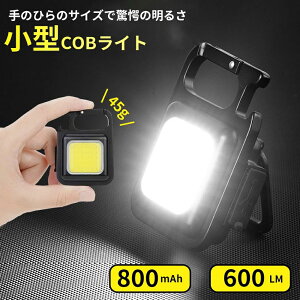 COBCg d Cg Jri LED  Ɠ ~jCg USB[d nfBCg IPX4h ^ y Px 4_[h ͎Εt L[z_[ 铹 AEghA hЃCg 