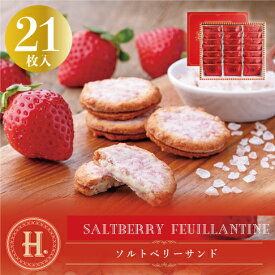 H. ソルトベリーサンド 21個入 塩チョコ クッキー 個包装 東京土産 Y2K 平成 高級感 高見え 配りやすい クリスマス 年末年始 お年賀 帰省 お歳暮 転職 送別会 新生活 学生 バレンタイン 新学期 差し入れ 帰省土産 冬ギフト プレゼント Tokyo souvenir sweets Japan
