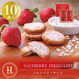 H. ソルトベリーサンド10個入 塩チョコ クッキー 個包装 東京土産 Y2K 平成 高級感 高見え 配りやすい 帰省 七五三 お歳暮 入園 入学 入社 卒業 転職 送別会 新生活 学生 バレンタイン プチギフト 新学期 成人式 ひな祭り 差し入れ Tokyo souvenir sweets Japan