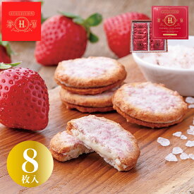 H. ソルトベリーサンド 8個入 塩チョコ クッキー 個包装 東京土産 Y2K 平成 高級感 高見え 配りやすい 帰省 七五三 お歳暮 入園 入学 入社 卒業 転職 送別会 新生活 学生 バレンタイン プチギフト 新学期 成人式 ひな祭り 差し入れ Tokyo souvenir sweets Japan
