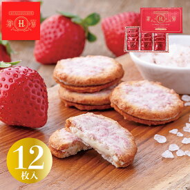 H. ソルトベリーサンド12個入 塩チョコ クッキー 個包装 東京土産 Y2K 平成 高級感 高見え 配りやすい 入園 入学 入社 卒業 転職 送別会 新生活 学生 お供え 御仏前 暑中見舞い お盆 敬老の日 お彼岸 新学期 帰省土産 差し入れ お歳暮 Tokyo souvenir sweets Japan