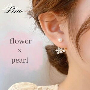 sAX p ԃ`[t t[ 킢 Ԃ fB[X X^bh^Cv JWA 킹₷ Vv IV Y S[h p[Gh ig ʋ ʊw ANZT