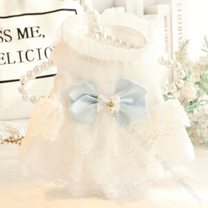  t  Lp PnhX zCg EFfBOhX tbVfUC Č ^ ^Ή ybg 킢X^C