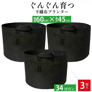 3Zbg sDzv^[ 34K ^ 60x45cm 20 TCY A琬p sDz|bg |pv^[ ϋvQ AւȒP