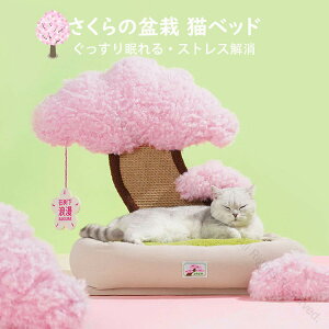 ̖~͔L ybgxbh Lxbh ܂Ƃ|[ IV tt  ꂢ INS lCV ˂ ߂Ƃ lR ܌ Lpi ybgpi v[g Mtg  