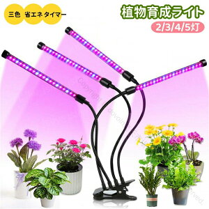 LEDA琬Cg 2/3/4/5^Cv 5~16W ԐtXyNg 9iK ^C~O@\t 360x]߉\ 20LED USBd ȃGldlŉƒ؉⎺|ɍœKȉA͗pCg 