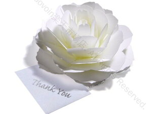 炭悤ɂЂ炭 Ԃ̃TL[J[h 4zCg o[Xf[J[h EFfBO Ajo[T[ w  ̓ j NX}X O[eBOJ[h