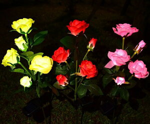 \[[Cg O h ߍݎ IP44h Rt K[fCg 胉Cg zpl[d ԃCgZbg   Őp @\Ɩ OƖ hƌʔQ