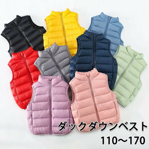 LbY q _ExXg LbY _bN_E j̎q ̎q ȃxXg AE^[ Ci[ xXg _E H ~ t h q ǂ AEghA t@Xi[ LbYxXg AE^[ m