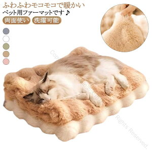  L ybg}bg ӂӂ xbh NbV t@[ ybgpxbh I[V[YΉ RR킢 xbh Lxbh ΍ ybgpi xbh hbOxbh }bg