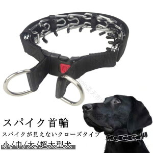 ^  XpCN h~   h~ XpCN N[Y^Cv p ih~ P Ȃ i g[jO ^  ^ ^ `