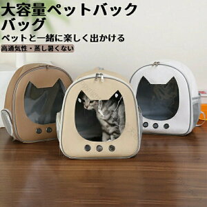 ybgL[obO 傫 bN^Cv ybgL[ obN ybgobO L[obO Lp p ^ ^Ή g~O h ʉ@ a@ hCu p bVdl 