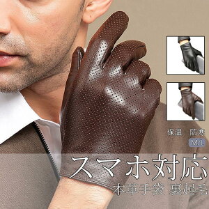  Y { rv h X}zΉ h  O[u amp oCNp g h ̓ NX}X v[gɍœKȓ~pۉ