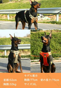  n[lX ^ ^ 킢  p  n[lX[hZbg SȂ Ȃ  _ubN bV ɂ ȒP  hbO o U Oo 