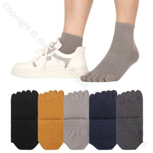 5{w\bNXYnܖ{w\bNXȌC5{whLʋCzLȂEȂJWAX|[crWlXܖ{wCtďH~p55FZbg25~28.0cmKtBbgQ