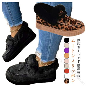 [gV[Y fB[X t@[ [gXb| {A Xbp ؂񂱌C  ɂȂ ׂɂ Vv ₷ T{T_  g  n ₦