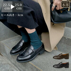 dɍœK _炩fގgp ~ߕt VvfUCł炭 yʐ݌v LRی Rf 3cmq[ EhgD fB[XC [t@[