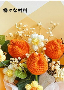 юԑjbgt[[YonhChԑj҂݃v[g͂ȂԃMtg̓aLOƎʉCeAlCu[P̑蕨