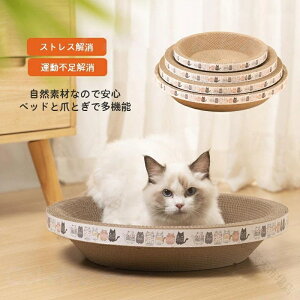 Lp ܂Ƃ oo{E Li{[xbh ybgxbh Lxbh 2WAYdl @\ŉfUC ܂Ƃh~t Lbgxbh KȃybgpƋ