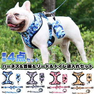  L n[lX [h  gCܓ 4_Zbg ybgp  xXg ʃfUC  Lbg hbO bVf y ʋCQ