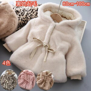 t@[R[g LbYWPbg ƂƂ ӂӂ Ƃӂ nN rbgGRt@[ AE^[ t[ht xr[ AE^[ p[J[ gbvX   R[g LbYR[g 