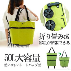 L[J[g ܂ݎ yʃVbsOJ[g eʔJ[g GRobOt X[cP[X^ WJSobO g[gobO@\^Cv