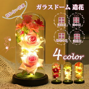 KXh[  LEDCgt Ȕ t[ ͂ȂԂ̉ԑ a v[g ̓ hV̓ LO  蕨ɍœKȃCeAi