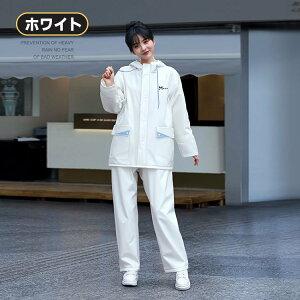 炪ʂȂΕtfB[X㉺ZbgCR[gfB[XCX[c160WjAΉHyʖhJʊwʋΗp㉺ZbgfB[X