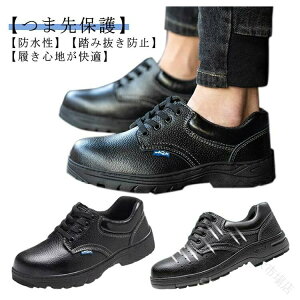 ŒʋCQ jpZ[teB[V[Y HΉܐی ϖՐ~ߍƌC Bݔh~|cXj[J[SC