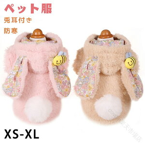   H~ ~ H~V hbOEFA ybg g et h UoEFA ^ ^ іh~ F j̎q ̎q v[g Mtg UEFA 