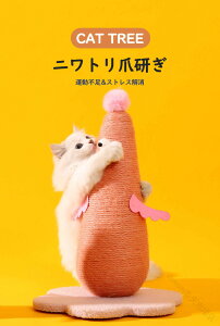 Lbgc[  ܌35/46cm u jg`[t gݗĊȒP  ^LΉ nbN ybgxbh f LbgEH[N   킢  Lp L