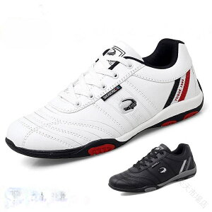 StV[Y Y SҌ ʋCQ y 4E L݌v XpCNX tBbg ₷ ɂ ϋvhdl Kp Xj[J[